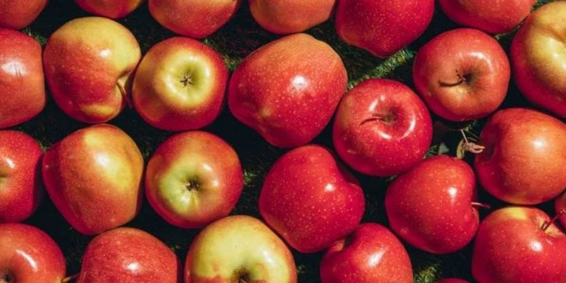 Монополія на фрукт. Apple намагається зареєструвати торгову марку з цілим яблуком