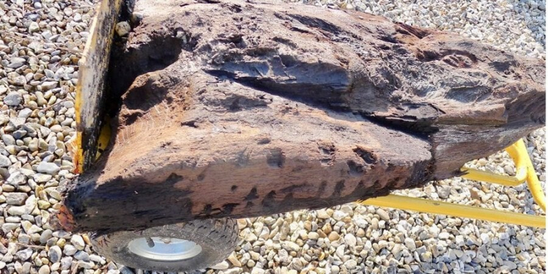 На 2 тис. років старше ніж Стоунхендж. У Великій Британії знайшли найдавніше в країні різьблене дерево