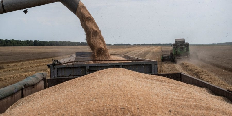 Польща закликає Євросоюз розвивати порти для експорту українського зерна