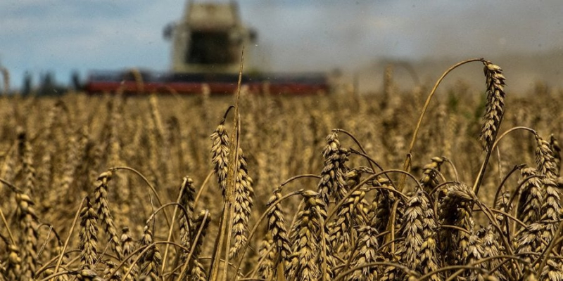 РФ найімовірніше вийде із зернової ініціативи в липні - МЗС
