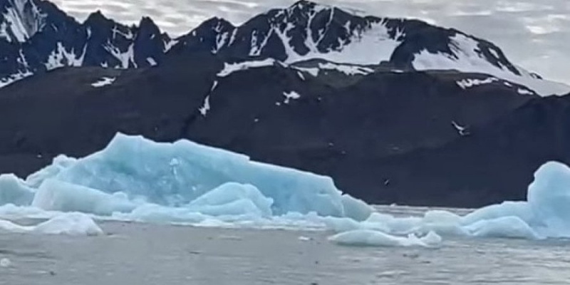 Рідкісні та страшні кадри. Шматок айсберга відколовся і впав у воду поруч із туристами — відео
