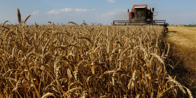 Росія знов пригрозила не продовжувати зернову угоду