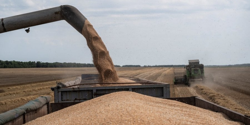 Ще й Індія підвела. Ціни на продовольство в липні зросли після виходу РФ із «зернової угоди» — ООН
