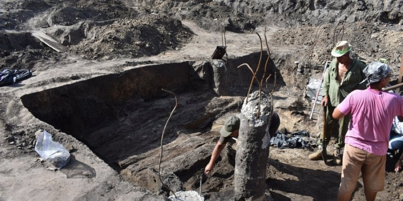 У Черкасах тривають розкопки на місці стародавнього замку. Уже знайшли монети й артефакти