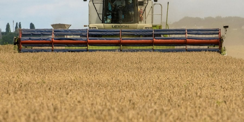 «Задля благополуччя фермерів». У вересні Польща закриє кордон для українського зерна
