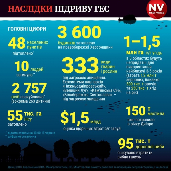 Збитки екології від підриву росіянами Каховської ГЕС перевищують 1,5 млрд доларів — Шмигаль